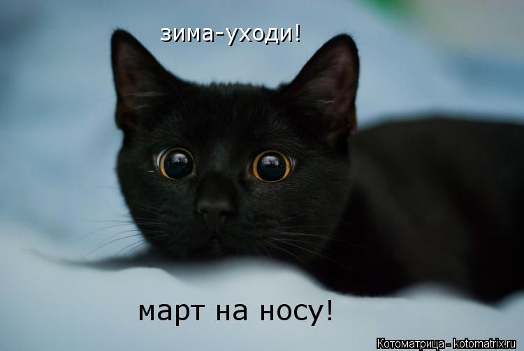 Котоматрица: зима-уходи! март на носу!