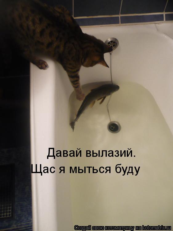 Давай вылазий. Щас я мыться буду... Котоматрица: Давай вылазий. Щас я мыться буду