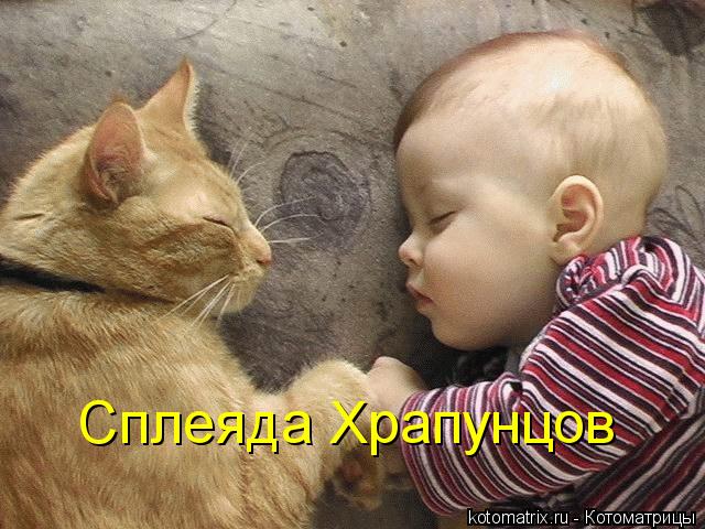 Сплеяда Храпунцов... Котоматрица: Сплеяда Храпунцов