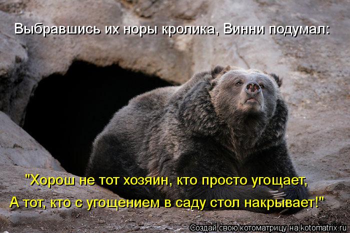 Котоматрица: Выбравшись их норы кролика, Винни подумал: "Хорош не тот хозяин, кто просто угощает, А тот, кто с угощением в саду стол накрывает!"