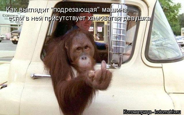 Котоматрица: Как выглядит "подрезающая" машина, если в ней присутствует хамоватая девушка