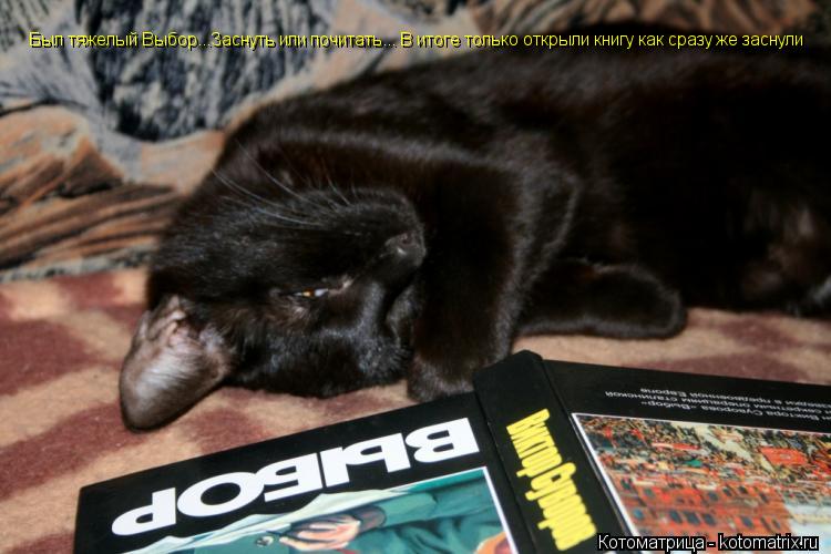 Котоматрица: Был тяжелый Выбор...Заснуть или почитать... В итоге только открыли книгу как сразу же заснули