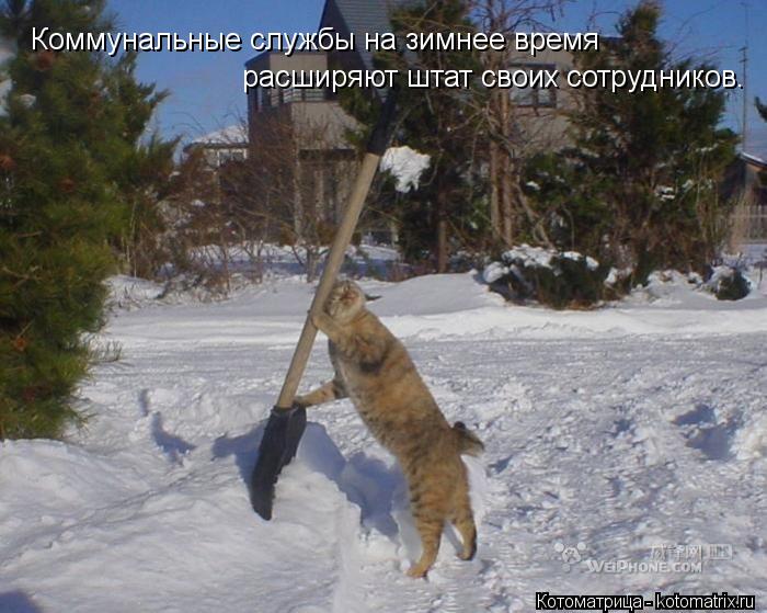 Коммунальные службы на зимнее время расширяют штат своих сотрудников.... Котоматрица: Коммунальные службы на зимнее время расширяют штат своих сотрудников.