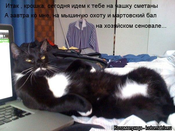 Итак , крошка, сегодня идем к тебе на чашку сметаны А завтра ко мне, на мышиную охоту и мартовский ба... Котоматрица: Итак , крошка, сегодня идем к тебе на чашку сметаны А завтра ко мне, на мышиную охоту и мартовский бал на хозяйском сеновале...