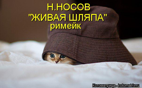 Котоматрица: Н.НОСОВ "ЖИВАЯ ШЛЯПА" римейк
