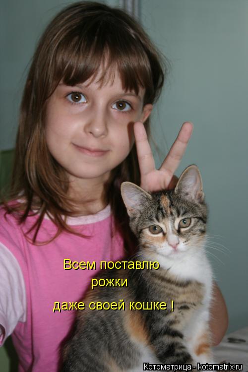 Котоматрица: Всем поставлю рожки даже своей кошке !