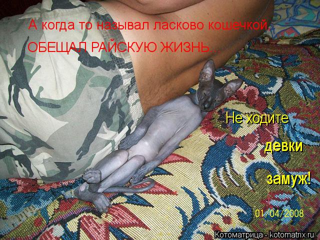 А когда то называл ласково кошечкой, ОБЕЩАЛ РАЙСКУЮ ЖИЗНЬ... Не ходите девки замуж!... Котоматрица: А когда то называл ласково кошечкой, ОБЕЩАЛ РАЙСКУЮ ЖИЗНЬ... Не ходите девки замуж!