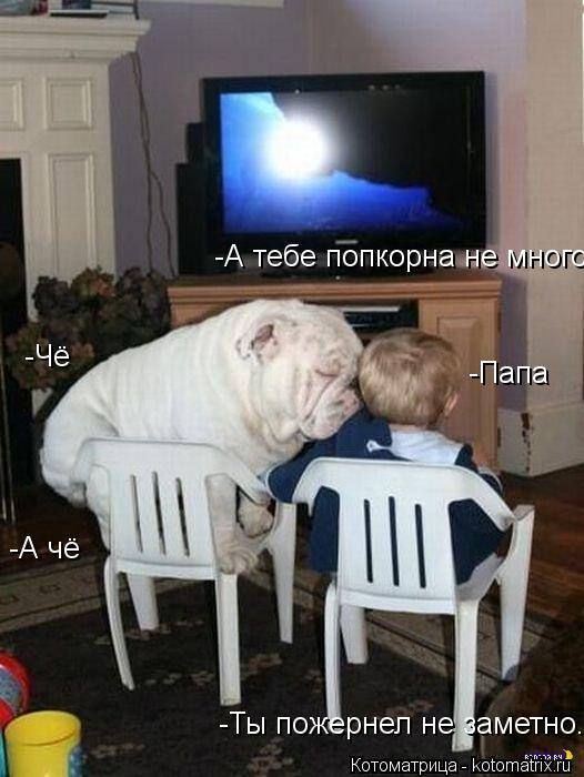 Котоматрица: -Папа -Чё -А тебе попкорна не много -А чё -Ты пожернел не заметно.