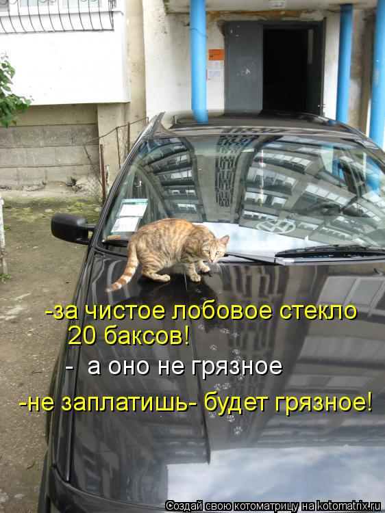 Котоматрица: -за чистое лобовое стекло 20 баксов! -не заплатишь- будет грязное! -  а оно не грязное
