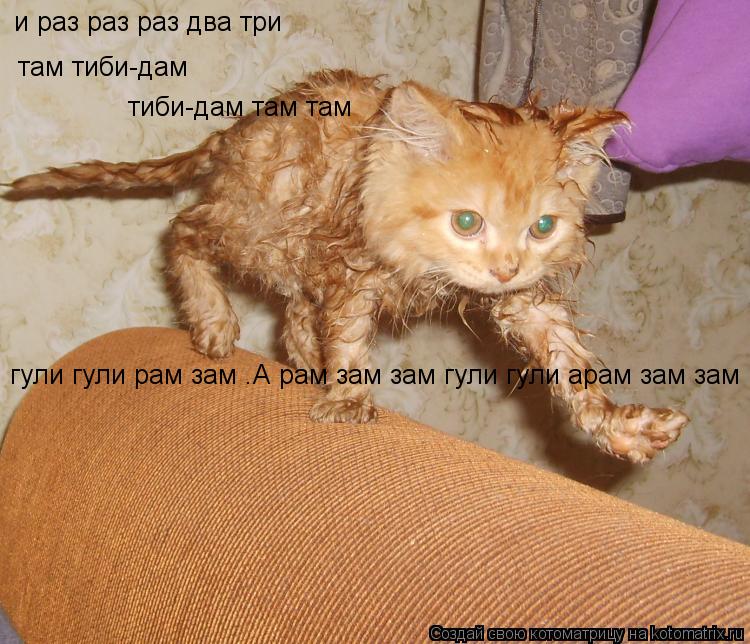 и раз раз раз два три там тиби-дам тиби-дам там там гули гули рам зам .А рам зам зам гули гули арам з... Котоматрица: и раз раз раз два три там тиби-дам тиби-дам там там гули гули рам зам .А рам зам зам гули гули арам зам зам