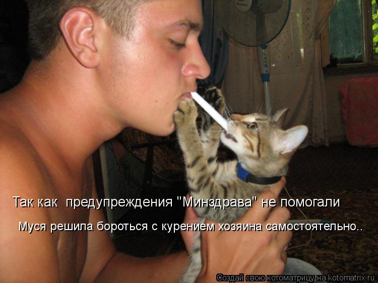 Так как предупреждения "Минздрава" не помогали Муся решила бороться с курением хозяина самостоятельн... Котоматрица: Так как предупреждения "Минздрава" не помогали Муся решила бороться с курением хозяина самостоятельно..