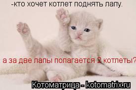 -кто хочет котлет поднять лапу. а за две лапы полагается 2 котлеты?... Котоматрица: -кто хочет котлет поднять лапу. а за две лапы полагается 2 котлеты?