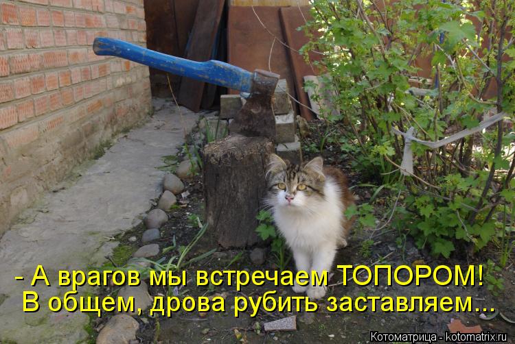 - А врагов мы встречаем ТОПОРОМ! В общем, дрова рубить заставляем...... Котоматрица: - А врагов мы встречаем ТОПОРОМ! В общем, дрова рубить заставляем...