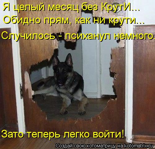 Котоматрица: Я целый месяц без КрутИ... Обидно прям, как ни крути... Случилось - психанул немного... Зато теперь легко войти!