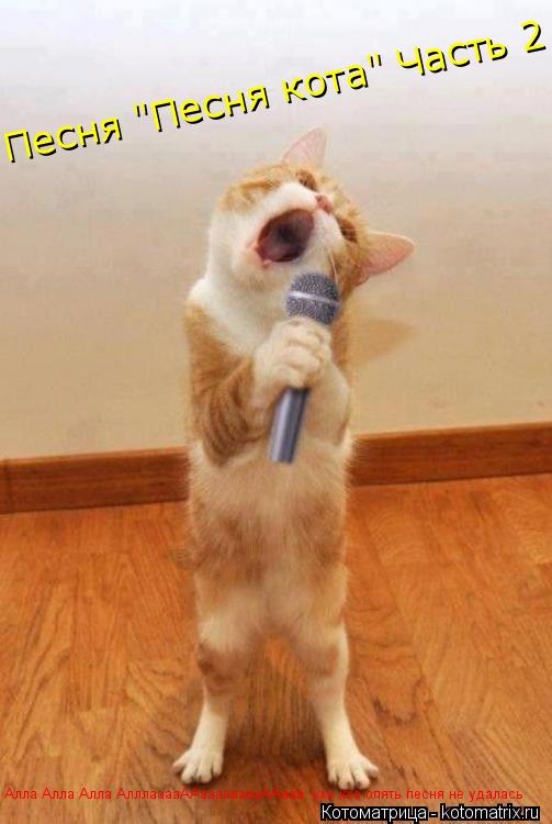 Котоматрица: Алла Алла Алла АлллааааААааааааааААааа  кхе кхе опять песня не удалась  Песня "Песня кота" Часть 2
