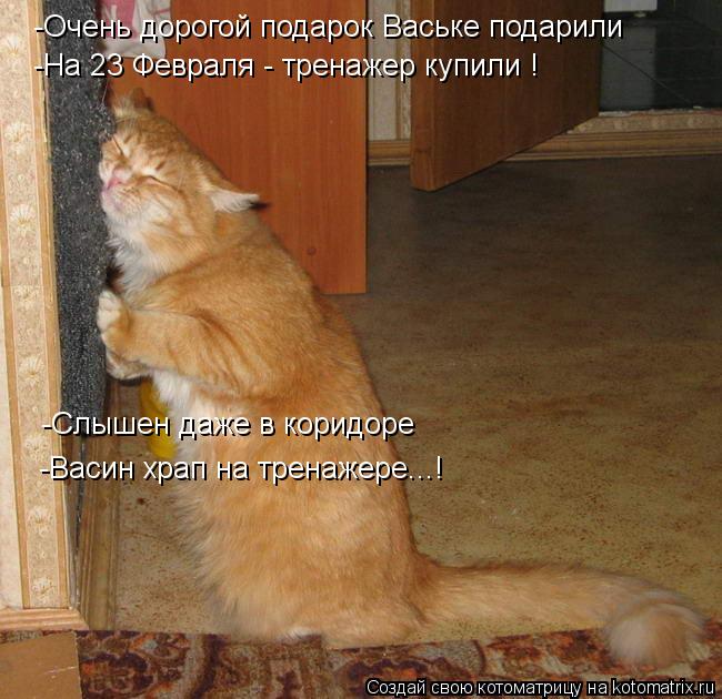 Котоматрица: -Очень дорогой подарок Ваське подарили -На 23 Февраля - тренажер купили ! -Слышен даже в коридоре  -Васин храп на тренажере...!