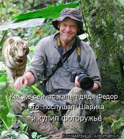 Котоматрица: Как же сейчас жалел дядя Федор  что  послушал  Шарика и купил фоторужьё