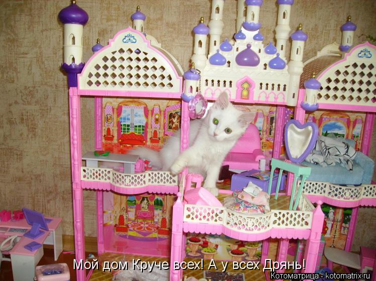 Мой дом Круче всех! А у всех Дрянь!... Котоматрица: Мой дом Круче всех! А у всех Дрянь!