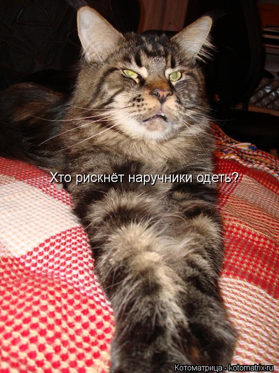 Котоматрица: Хто рискнёт наручники одеть?