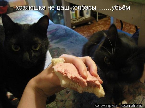 Котоматрица: хозяюшка не даш колбасы .......убьём