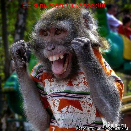 Котоматрица: ЕЕ ЕЕ я выграл 10 копеек!!!!