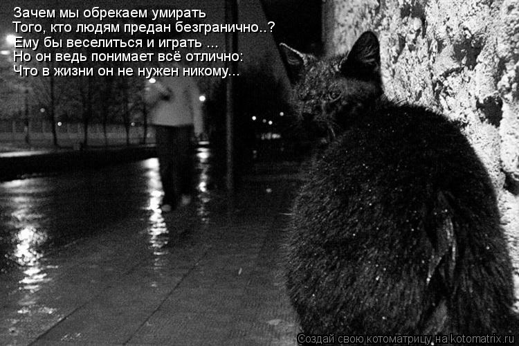 Зачем мы обрекаем умирать Того, кто людям предан безгранично..? Ему бы веселиться и играть ... Но о... Котоматрица: Зачем мы обрекаем умирать Того, кто людям предан безгранично..? Ему бы веселиться и играть ... Но он ведь понимает всё отлично: Что в жизни он