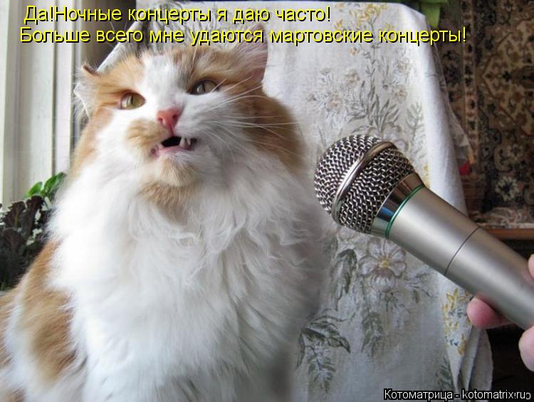 Котоматрица: Да!Ночные концерты я даю часто! Больше всего мне удаются мартовские концерты!