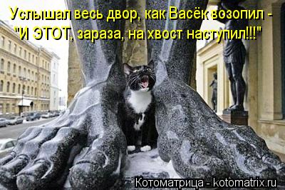 Котоматрица: Услышал весь двор, как Васёк возопил - "И ЭТОТ, зараза, на хвост наступил!!!"
