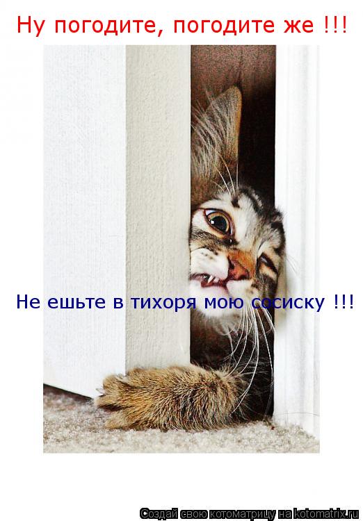 Ну погодите, погодите же !!! Не ешьте в тихоря мою сосиску !!!... Котоматрица: Ну погодите, погодите же !!! Не ешьте в тихоря мою сосиску !!!