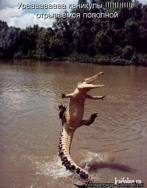 Урааааааааа каникулы !!!!!!!!!!!! отрываемся пополной... Котоматрица: Урааааааааа каникулы !!!!!!!!!!!! отрываемся пополной
