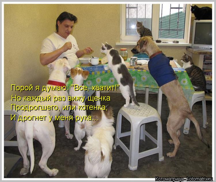 Но каждый раз вижу щенка Порой я думаю: "Все, хватит!" Продрогшего, или котенка, И дрогнет у меня рук... Котоматрица: Но каждый раз вижу щенка Порой я думаю: "Все, хватит!" Продрогшего, или котенка, И дрогнет у меня рука...