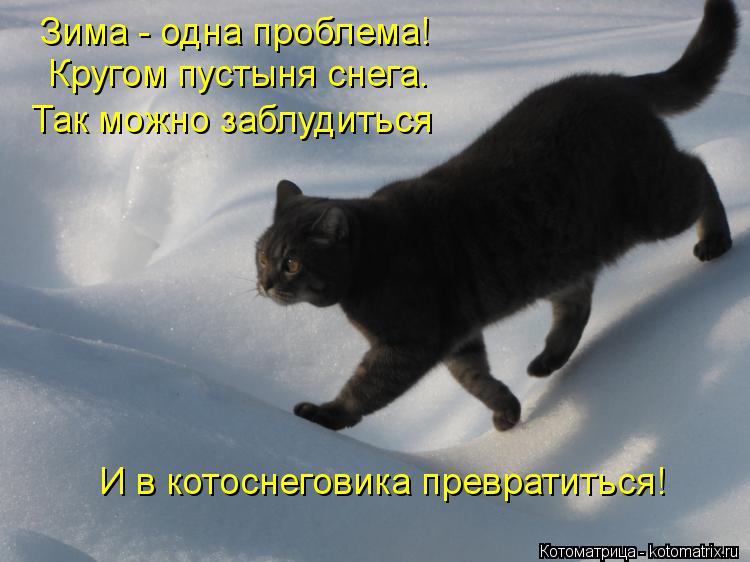 Котоматрица: Зима - одна проблема! Кругом пустыня снега. Так можно заблудиться И в котоснеговика превратиться!
