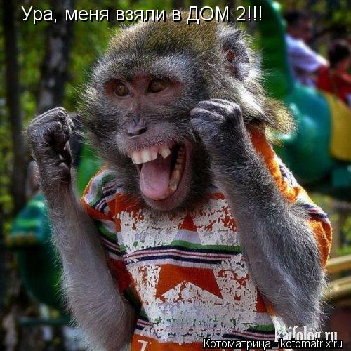 Котоматрица: Ура, меня взяли в ДОМ 2!!!