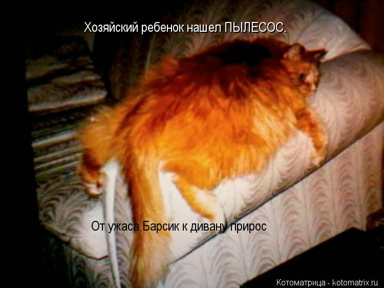 Хозяйский ребенок нашел ПЫЛЕСОС. От ужаса Барсик к дивану прирос... Котоматрица: Хозяйский ребенок нашел ПЫЛЕСОС. От ужаса Барсик к дивану прирос