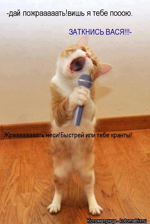 Котоматрица: -дай пожрааааать!вишь я тебе пооою. ЗАТКНИСЬ ВАСЯ!!!- Жраааааааать неси!Быстрей или тебе кранты!