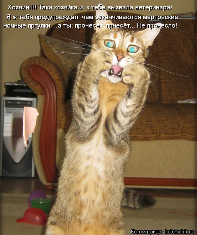 Хозяин!!!! Таки хозяйка и к тебе вызвала ветеринара! Я ж тебя предупреждал, чем заканчиваются мартов... Котоматрица: Хозяин!!!! Таки хозяйка и к тебе вызвала ветеринара! Я ж тебя предупреждал, чем заканчиваются мартовские ночные пргулки....а ты: пронесёт, прн