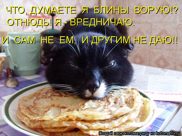 ЧТО, ДУМАЕТЕ Я БЛИНЫ ВОРУЮ!? ОТНЮДЬ! Я - ВРЕДНИЧАЮ: И САМ НЕ ЕМ, И ДРУГИМ НЕ ДАЮ!!... Котоматрица: ЧТО, ДУМАЕТЕ Я БЛИНЫ ВОРУЮ!? ОТНЮДЬ! Я - ВРЕДНИЧАЮ: И САМ НЕ ЕМ, И ДРУГИМ НЕ ДАЮ!!