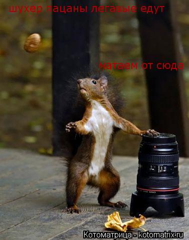 шухер пацаны легавые едут матаем от сюда... Котоматрица: шухер пацаны легавые едут матаем от сюда