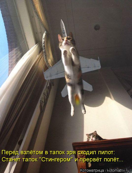Котоматрица: Станет тапок "Стингером" и прервёт полёт... Перед взлётом в тапок зря сходил пилот:
