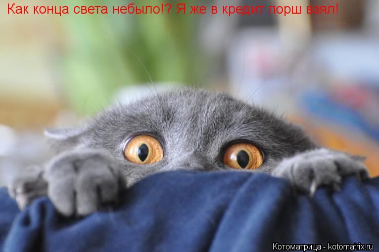 Котоматрица: Как конца света небыло!? Я же в кредит порш взял!