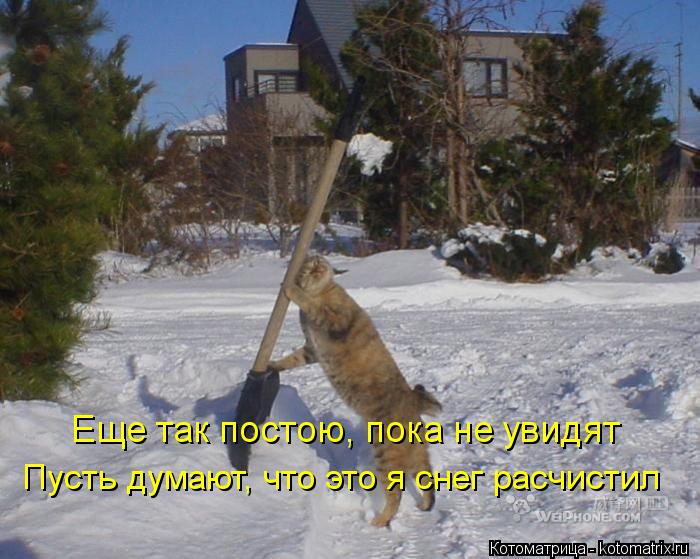 Котоматрица: Еще так постою, пока не увидят Пусть думают, что это я снег расчистил