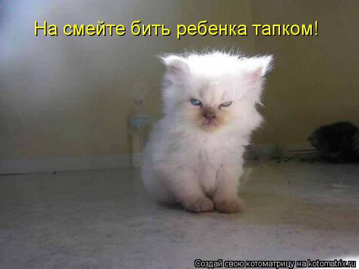 На смейте бить ребенка тапком!... Котоматрица: На смейте бить ребенка тапком!