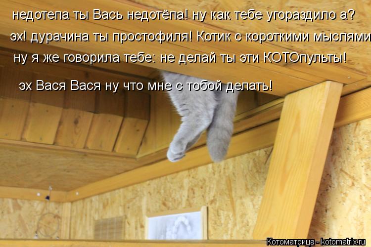 Котоматрица: недотепа ты Вась недотёпа! ну как тебе угораздило а? эх! дурачина ты простофиля! Котик с короткими мыслями! ну я же говорила тебе: не делай ты 