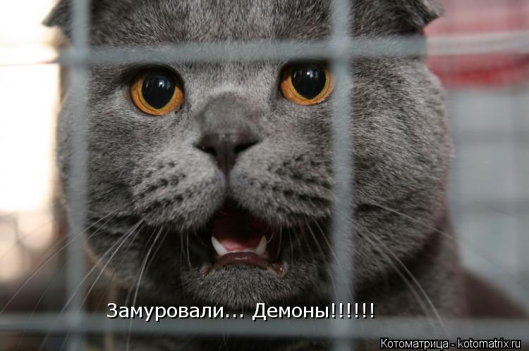 Котоматрица: Замуровали... Демоны!!!!!!