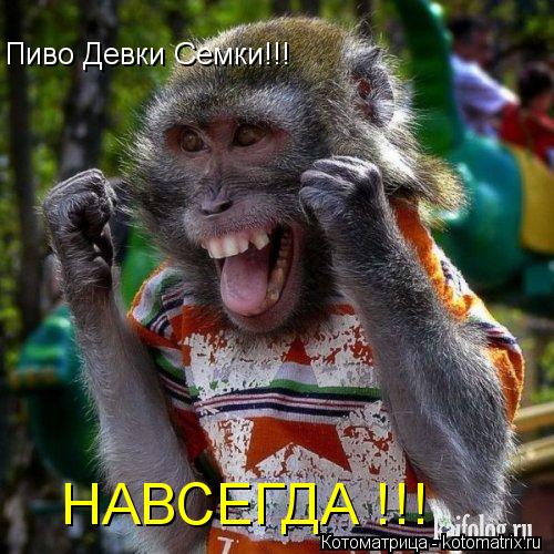 Котоматрица: Пиво Девки Семки!!! НАВСЕГДА !!!