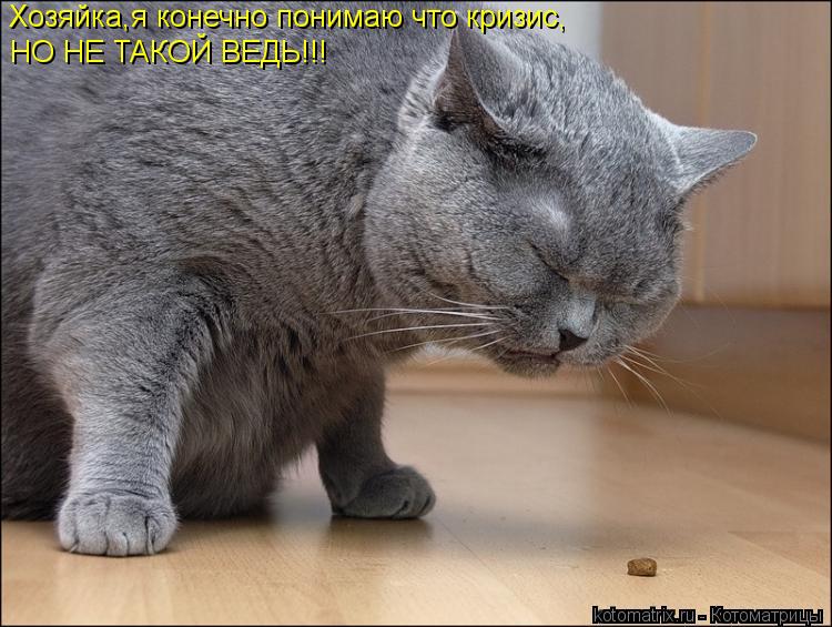 Котоматрица: Хозяйка,я конечно понимаю что кризис, НО НЕ ТАКОЙ ВЕДЬ!!!