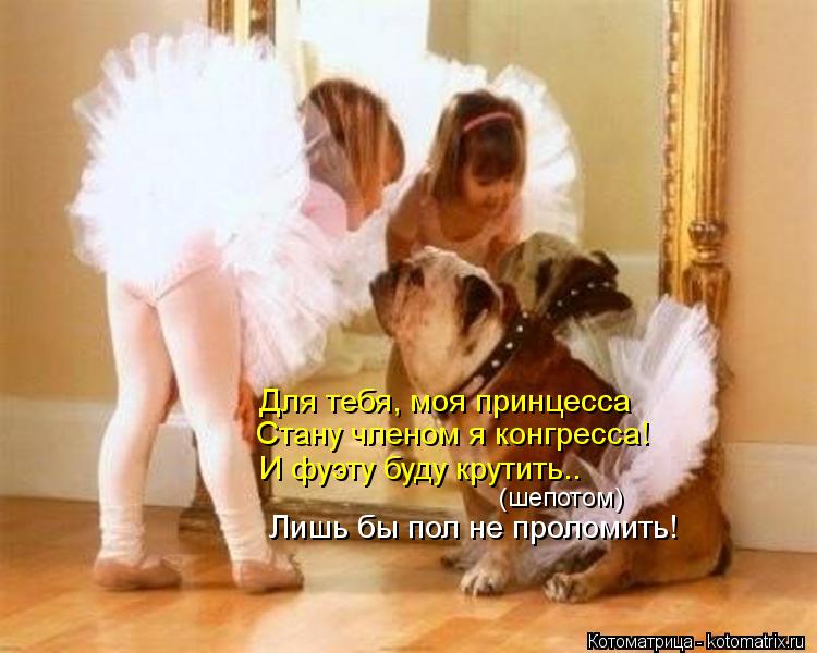 Котоматрица: Для тебя, моя принцесса Стану членом я конгресса! И фуэту буду крутить..  Лишь бы пол не проломить! (шепотом)