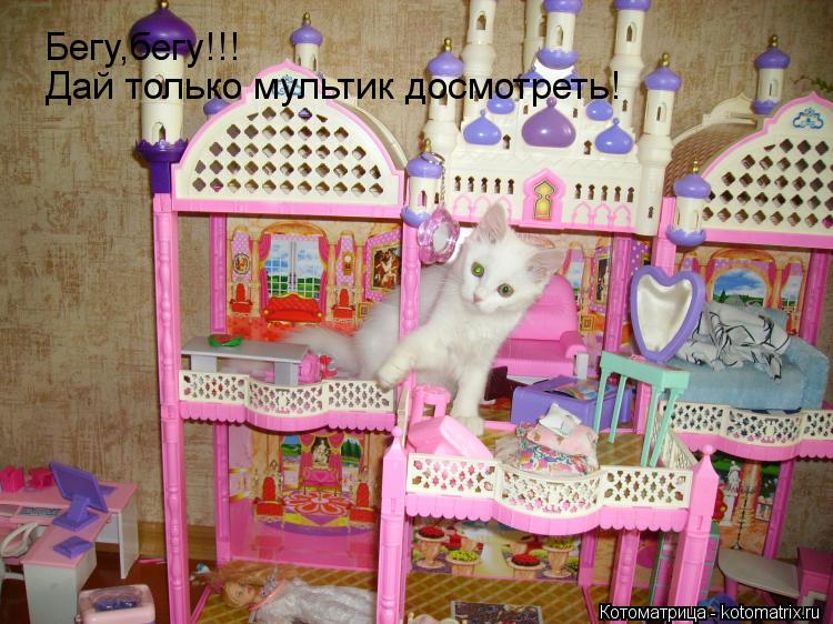 Котоматрица: Бегу,бегу!!! Дай только мультик досмотреть!