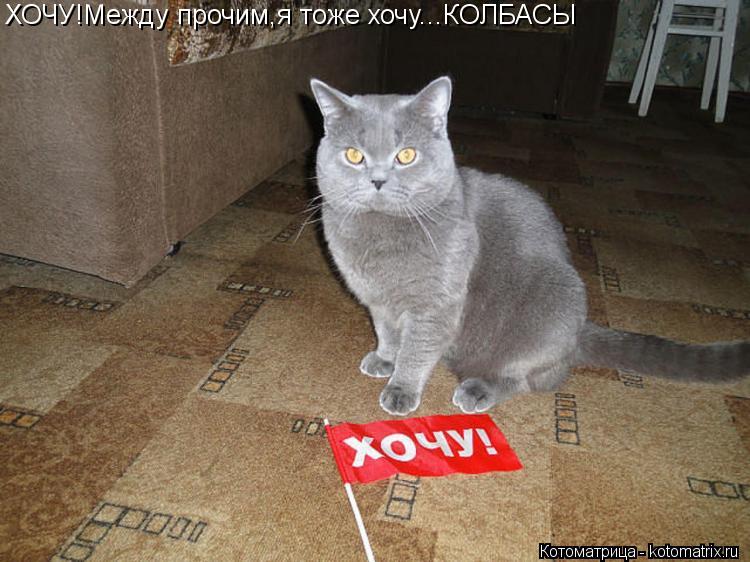 Котоматрица: ХОЧУ!Между прочим,я тоже хочу...КОЛБАСЫ