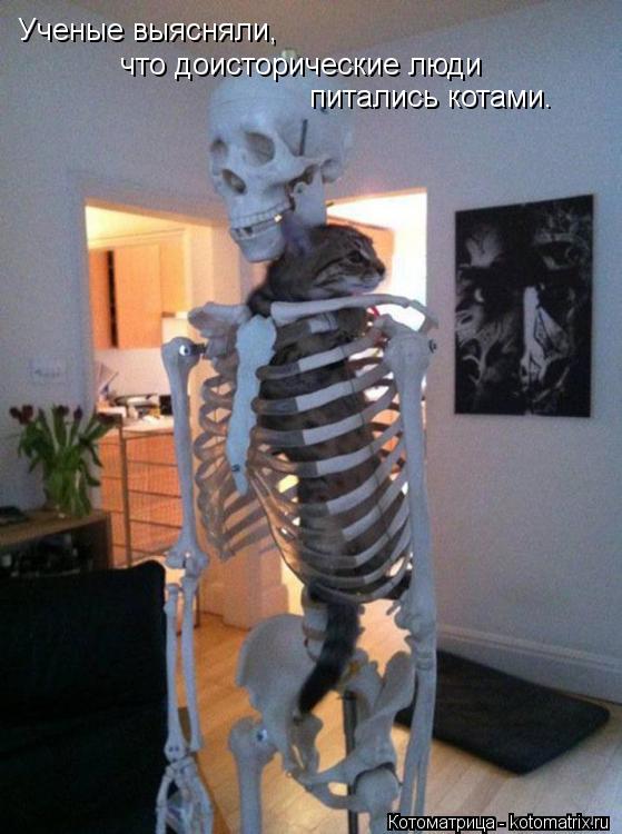 Котоматрица: Ученые выясняли,  что доисторические люди питались котами.